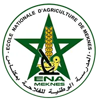 ENAM